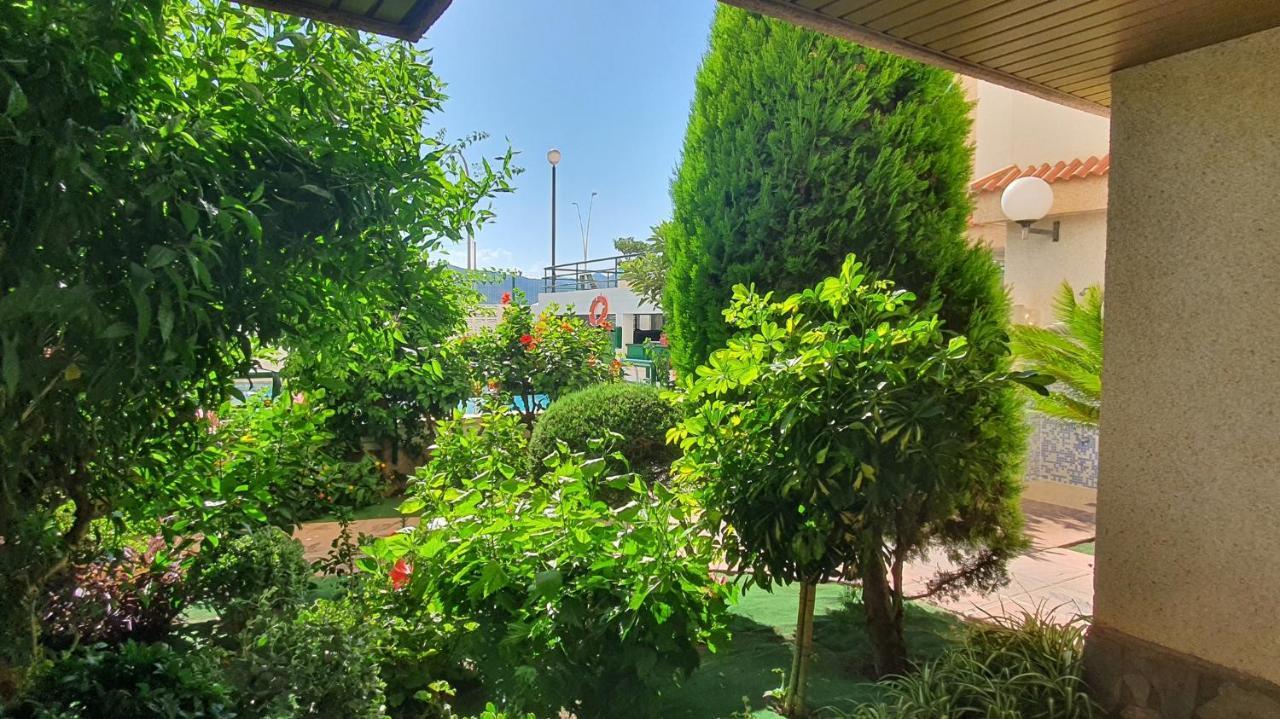 Jardines Gandia- Solo Familias Apartment Playa de Gandia Ngoại thất bức ảnh